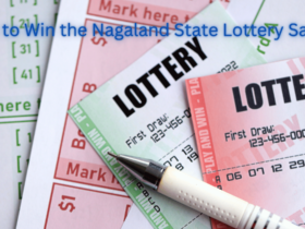 Tricks to Win the Nagaland State Lottery Sambad
