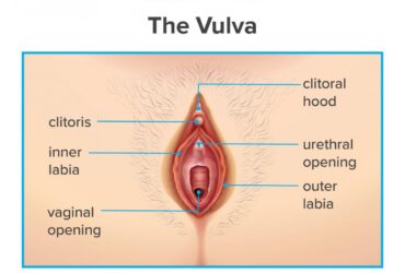 Is My Vagina Normal?